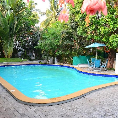 Villa Samaara3 Condolim Goa 500Mts From Beach 칸돌림 외부 사진